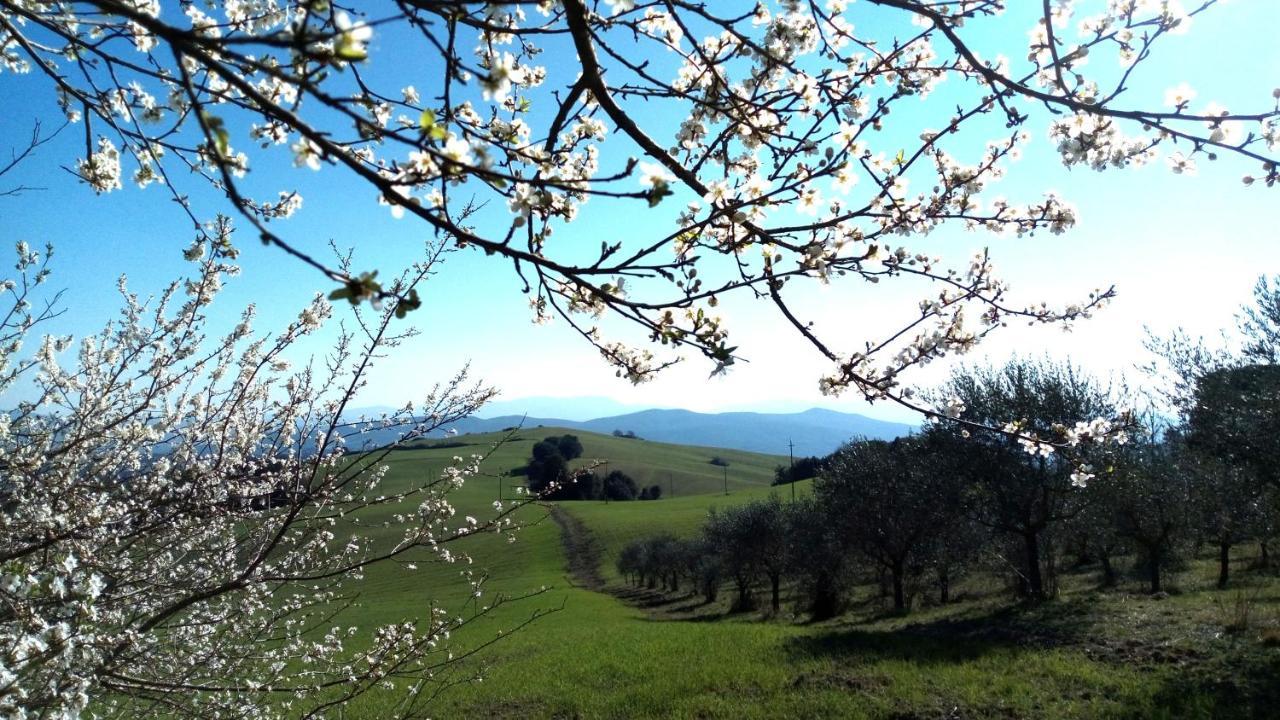 La Pecora Verde Сан-Джиминьяно Экстерьер фото