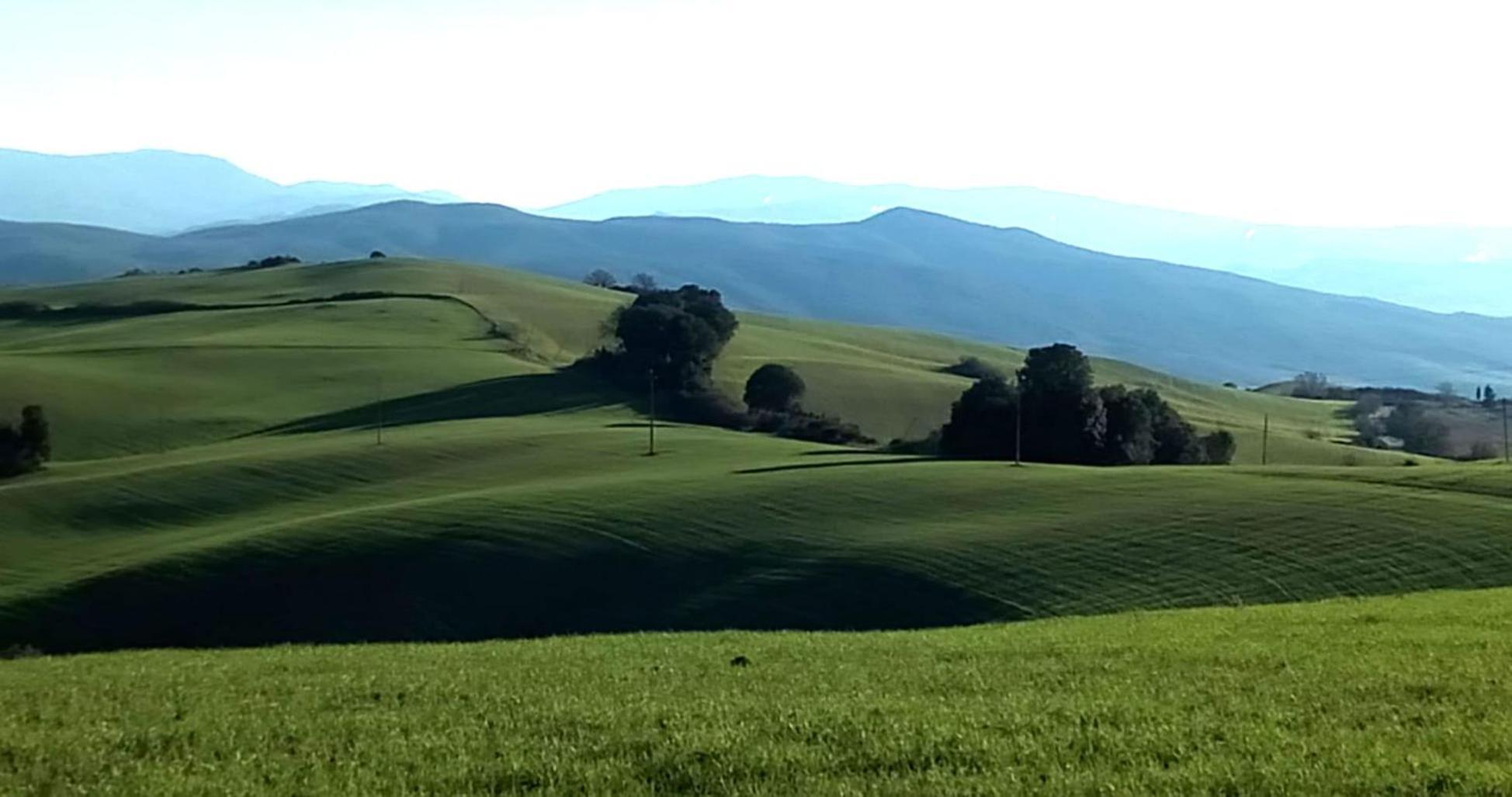 La Pecora Verde Сан-Джиминьяно Экстерьер фото