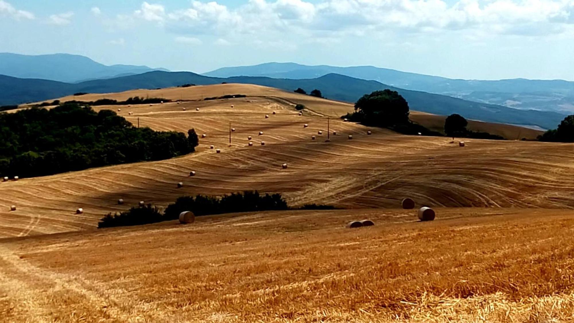 La Pecora Verde Сан-Джиминьяно Экстерьер фото