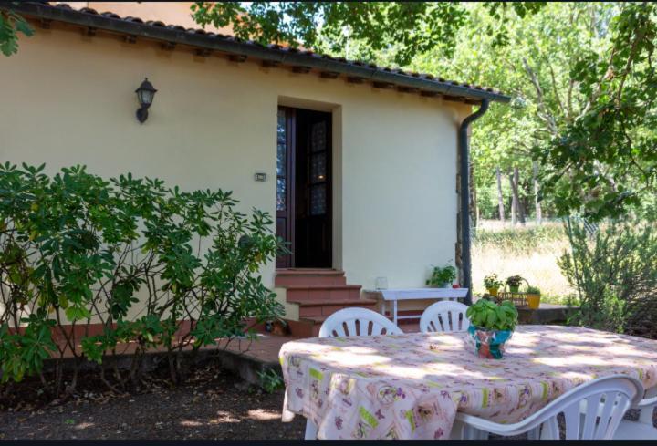 La Pecora Verde Сан-Джиминьяно Экстерьер фото